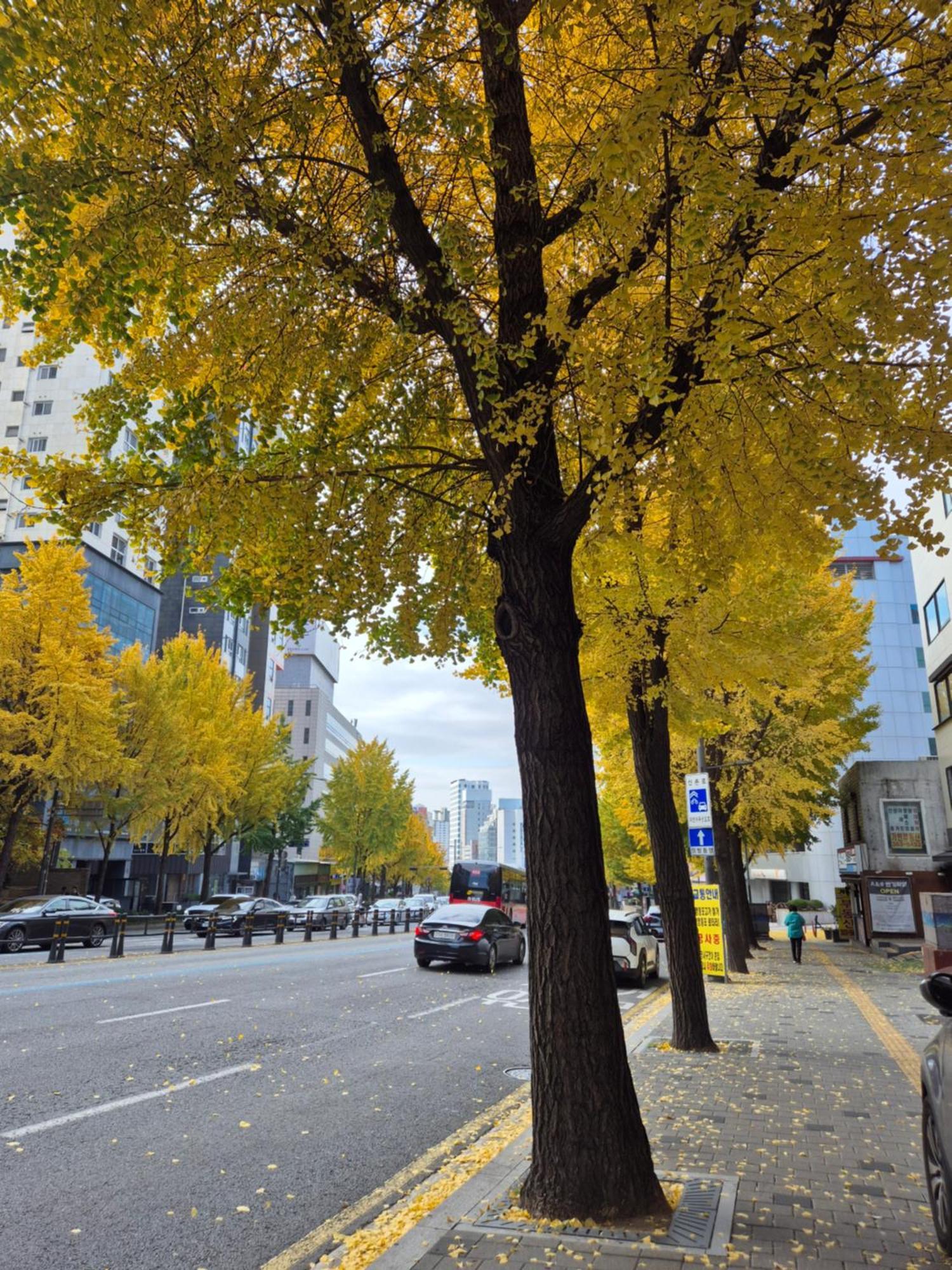 Let'S Stay Seoul Luaran gambar